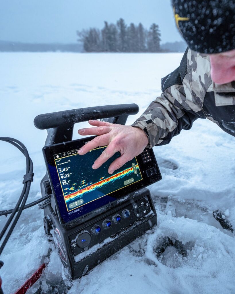 Humminbird graphs
