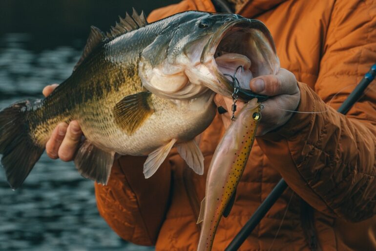 Megabass fishing lure /Brandon Palaniuk