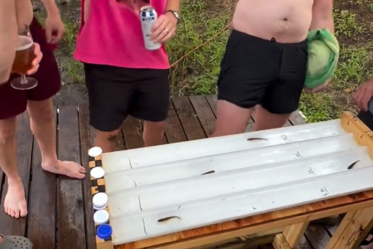 Minnow