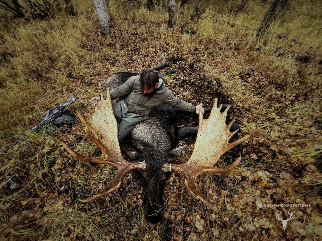 Moose hunt