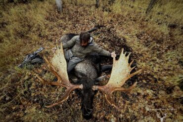 Moose hunt