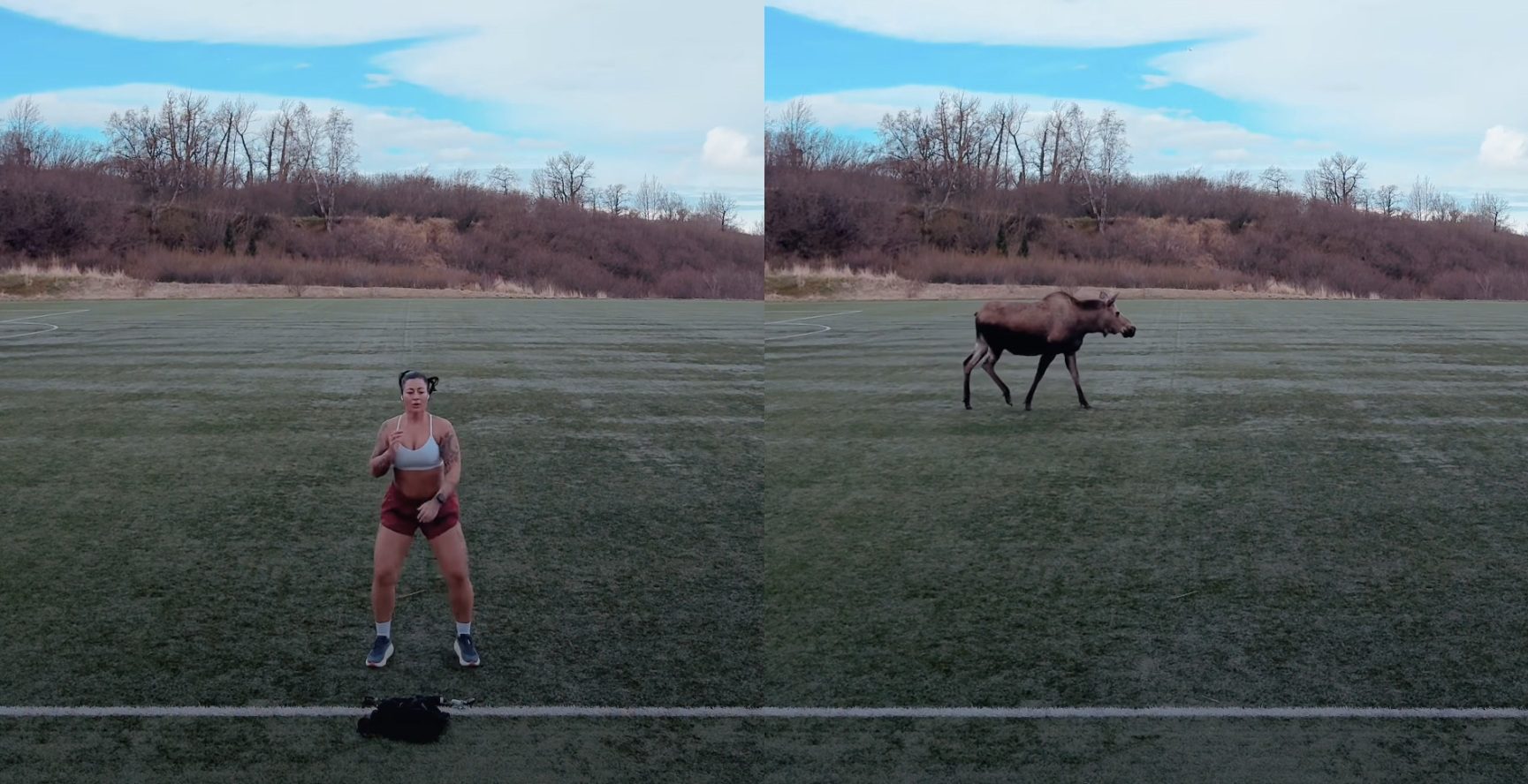 Massive Moose Casually Crashes Influencer’s Workout Video In Alaska
