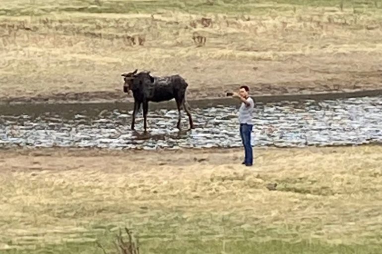 A person standing next to a donkey