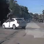 Moose leaps over car