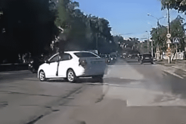 Moose leaps over car
