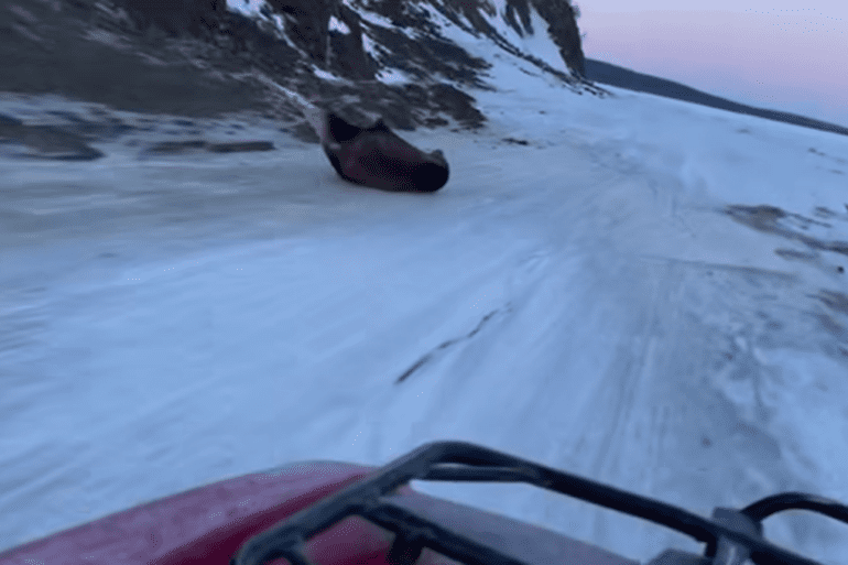 Moose slips being chases by ATV