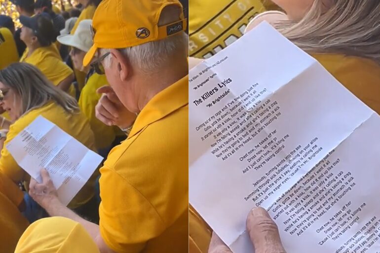 Michigan Fan