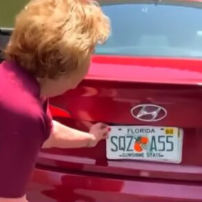 Nancy flroday plates