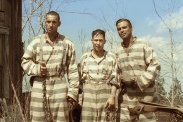 O Brother, Where Art Thou?