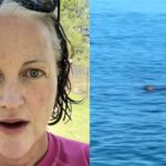 Otter lady Tahoe
