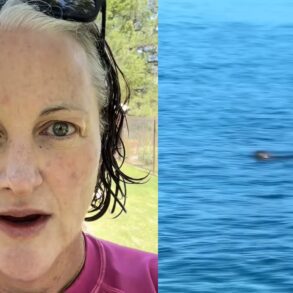 Otter lady Tahoe