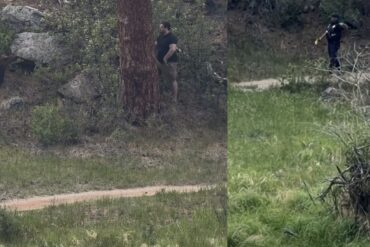 estes park elk
