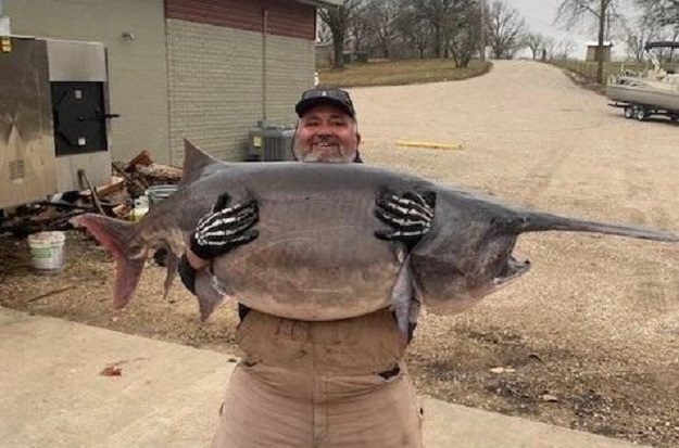 A man holding a large fish