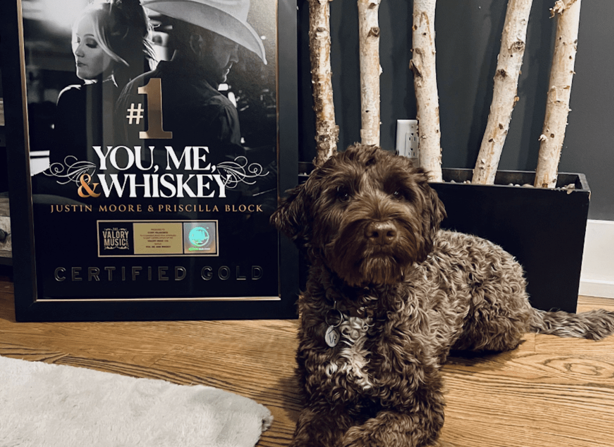 Meet Pancho, The First Dog Ever Nominated For A CMT Award | Whiskey Riff