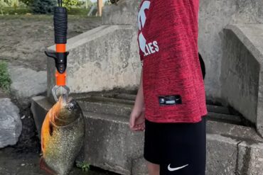 Piranha Penn