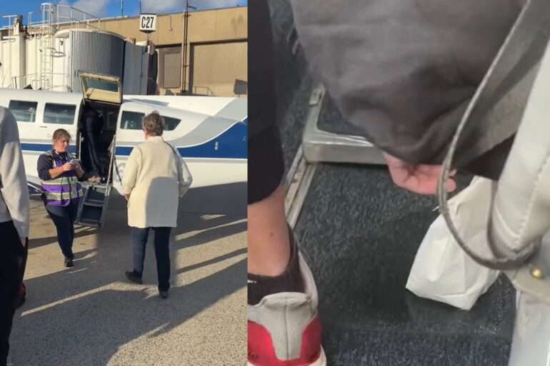 pee plane
