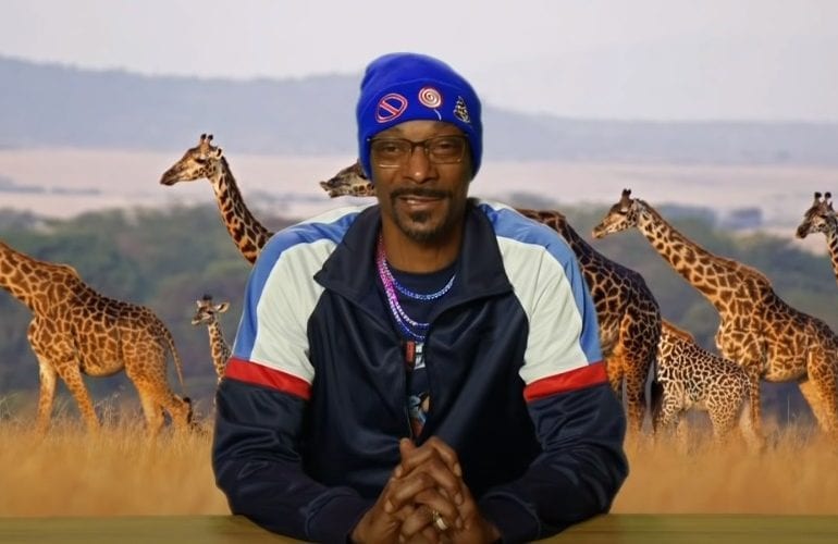 Snoop Dogg with a hat and a group of giraffes in the background