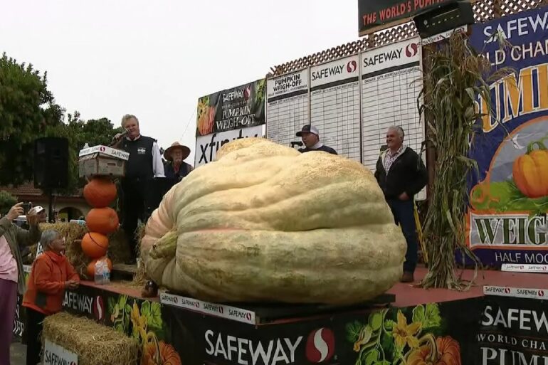 Pumpkin