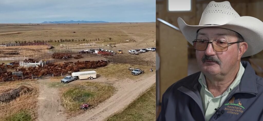 Montana Rancher Donates 38,000-Acre Ranch, Valued At $21 Million, To ...
