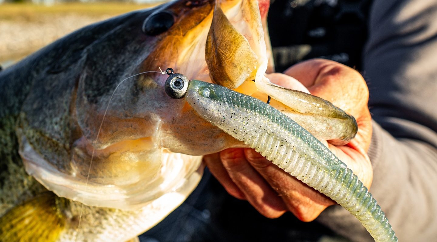 Top 5 Lures To Help You Catch Big Bass  November 2025 | Whiskey Riff