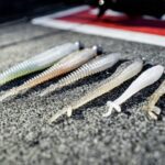 Rapala