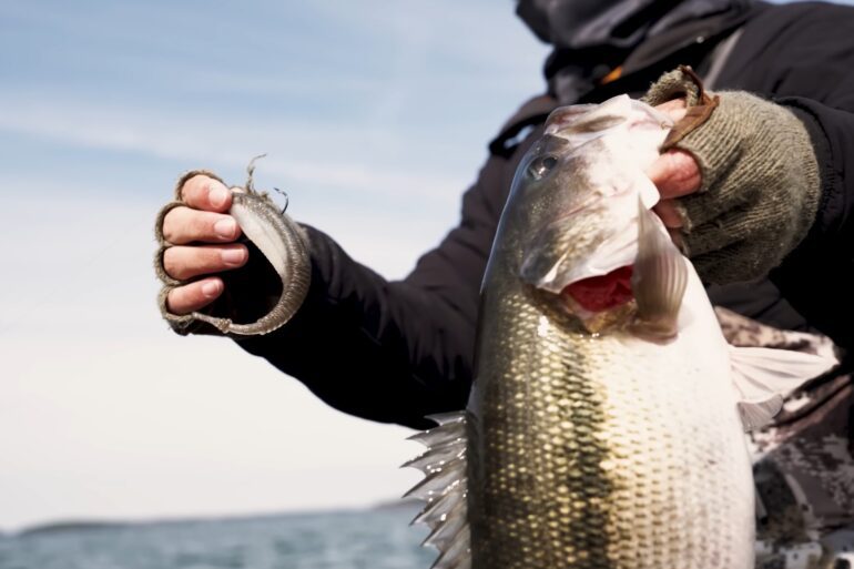 Rapala