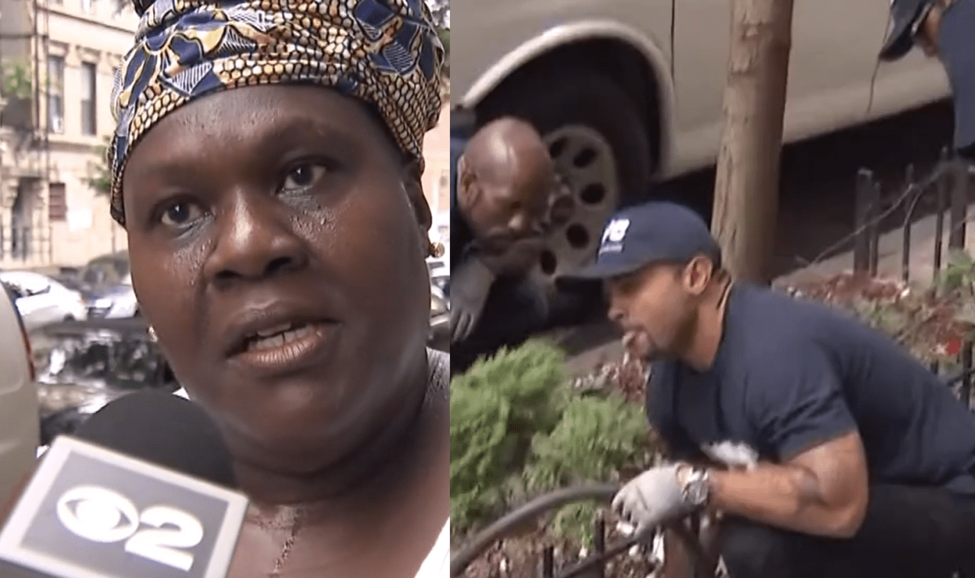 Jennifer Bush Rats New York Woman Hilariously Describes NYC Rat Infestation In Interview ...