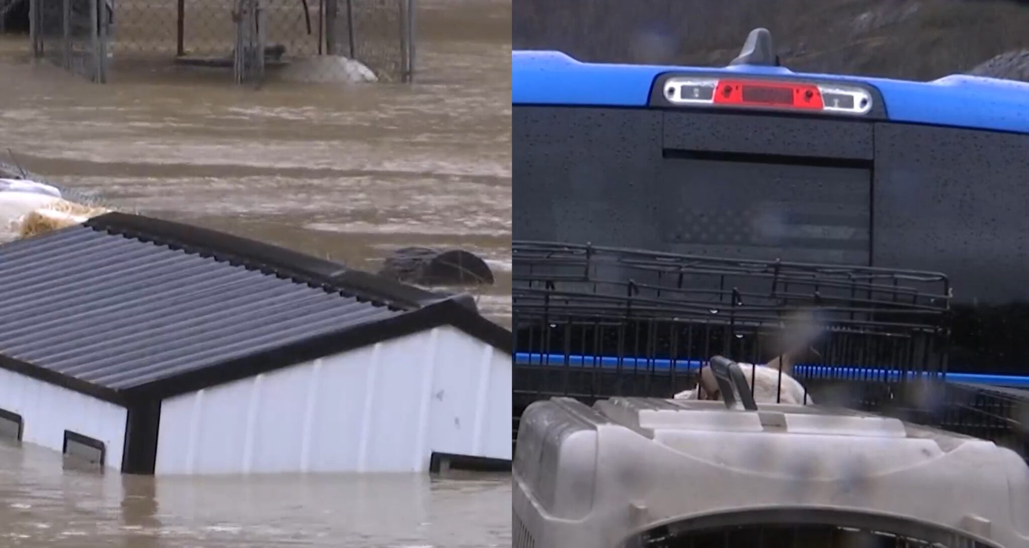 Mystery Man Dives Into West Virginia Flood Waters To Save Dogs Stuck In ...