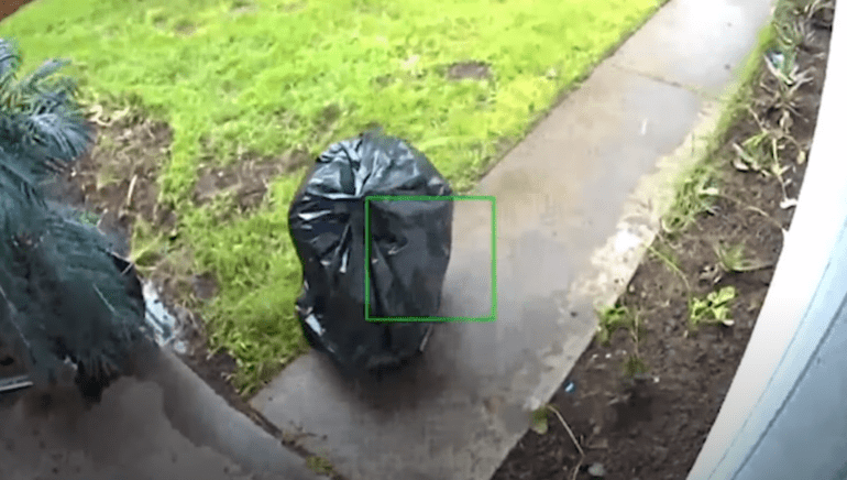 porch pirate