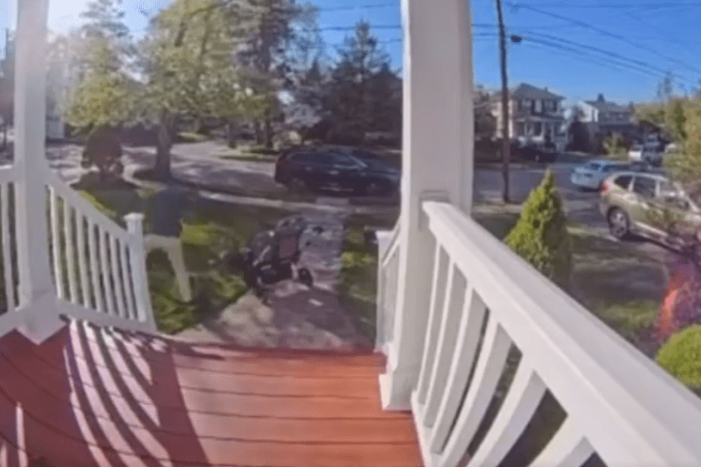 dad fights raccoon