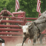 Buckin Thunder