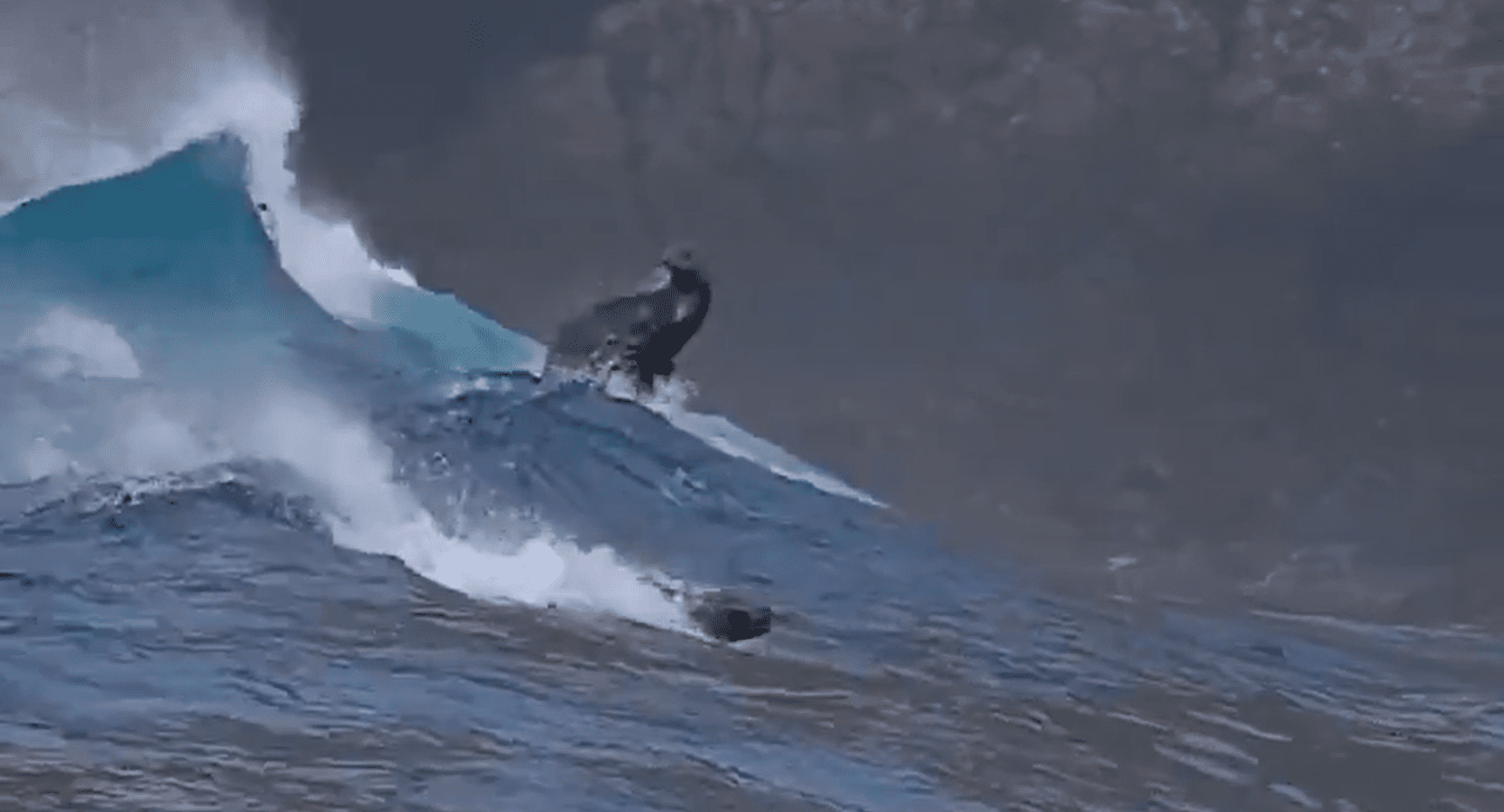 Surf Riff Sea Lions Show Off Their Impressive Surfing Skills Off The Coast Of ...