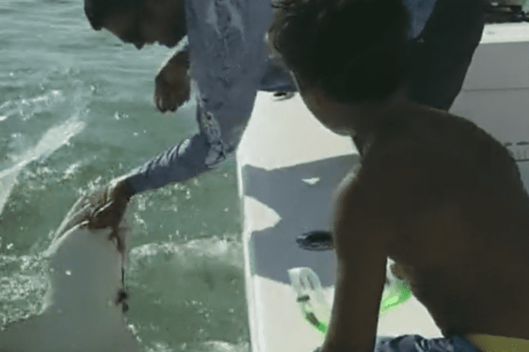 Man bitten by shark