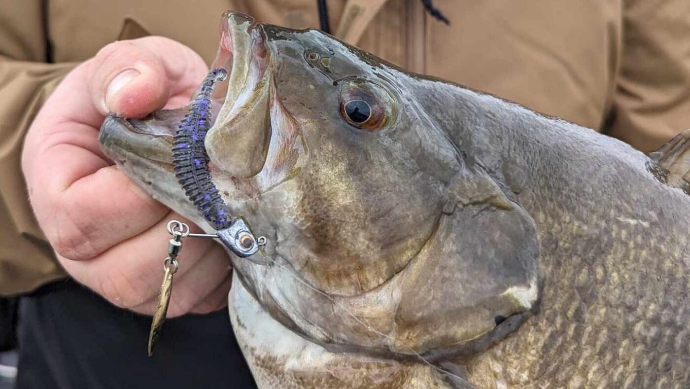Top 5 Baits For BIG Summer Smallmouth Bass – 2026