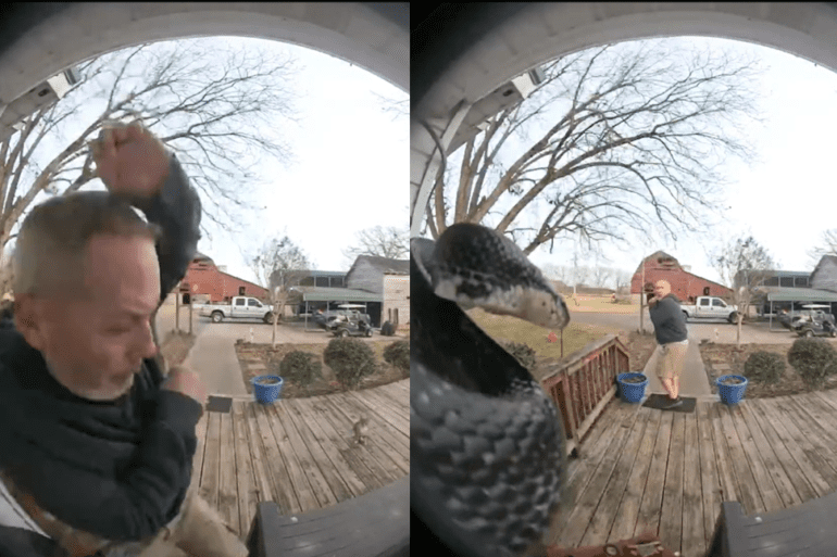 doorbell snake cam