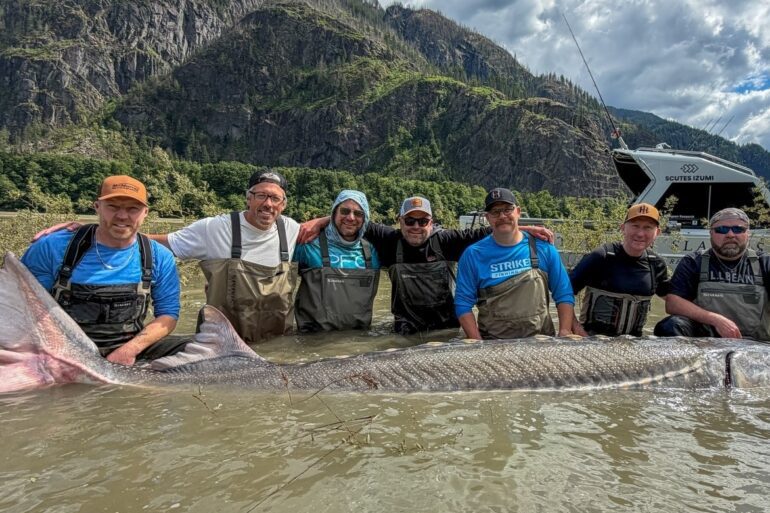 Sturgeon