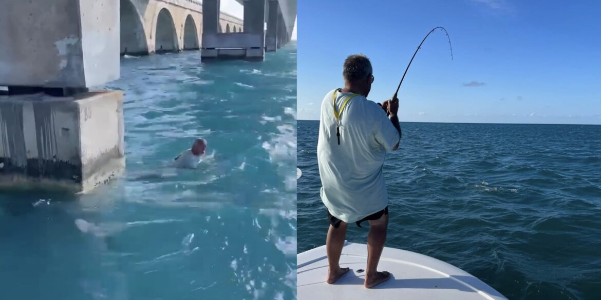Tarpon fisherman dives in