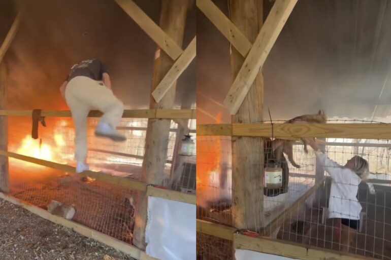 Tayler Holder barn fire