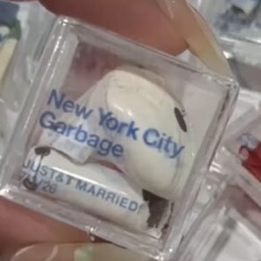 Taylor Swift wedding garbage