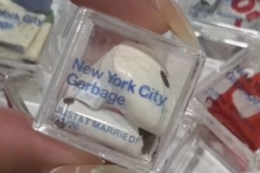 Taylor Swift wedding garbage