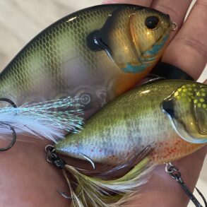 Bass lures Berkley