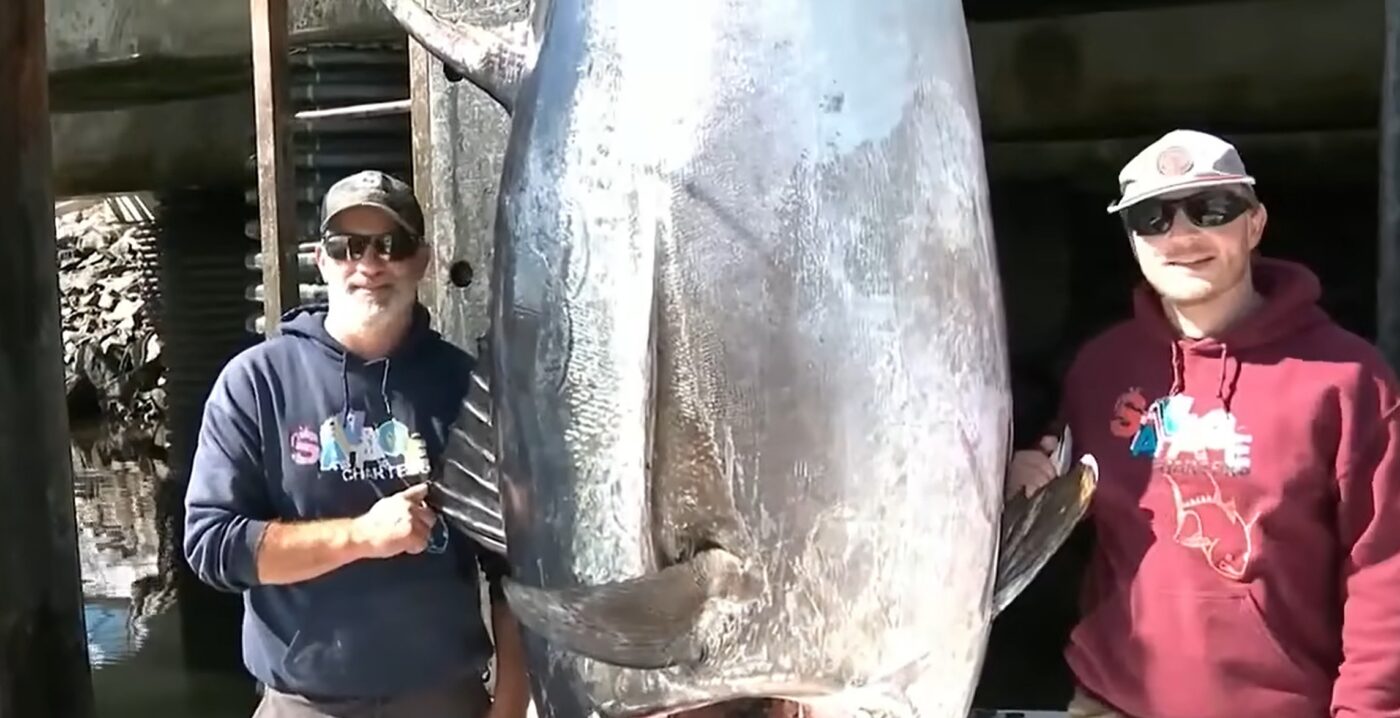 Lawrence Riff 1,100-Pound Bluefin Tuna Shatters New Hampshire State Record By Over ...
