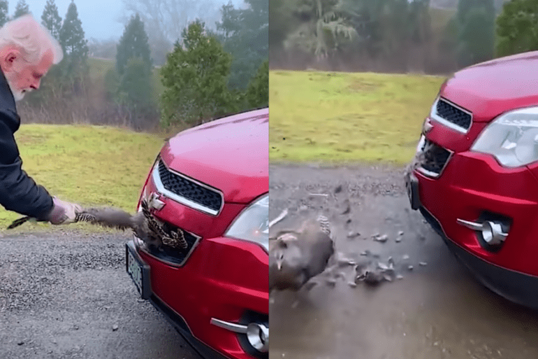 Turkey car