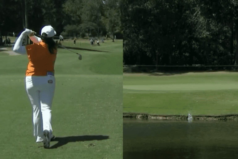 golf turtle