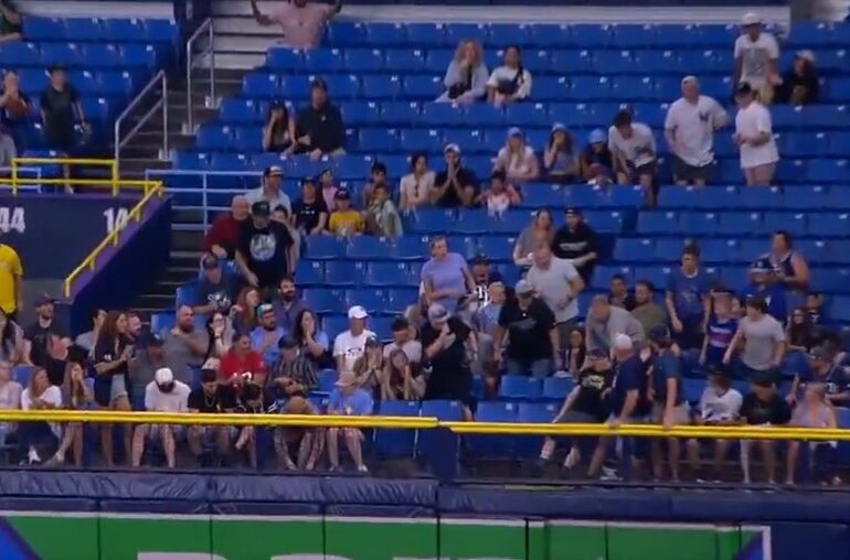 Twins fan knocked out
