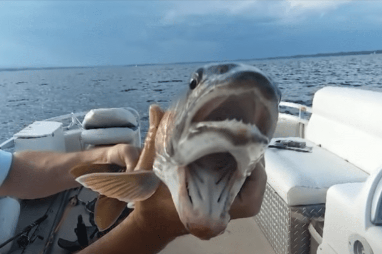 A person wearing a mask on a boat