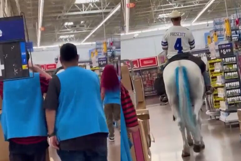 walmart horse