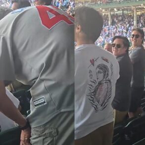Cubs fan