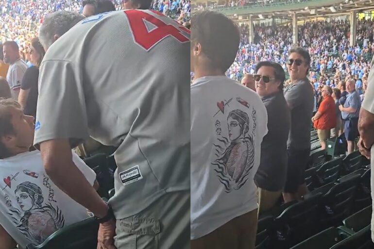 Cubs fan