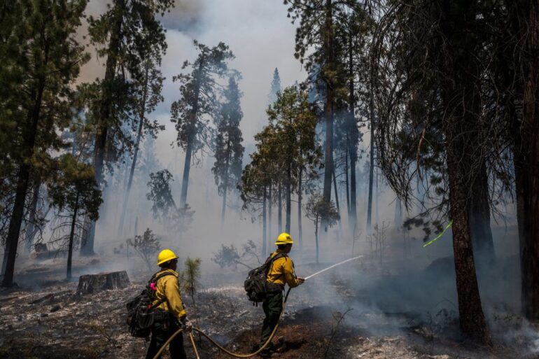 A group of firefighters walking down a road in the woods